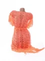 Costum de baie dama 210 CORAL | MEINA