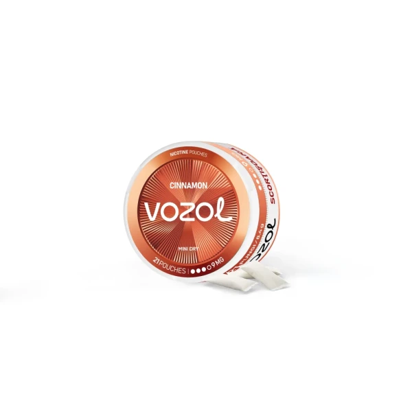 Pouch Cu Nicotina VOZOL CINNAMON 9MG | GALASUN